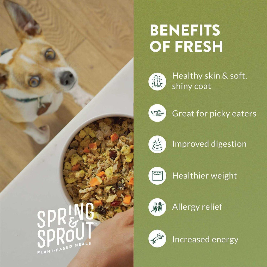 Plant-Based Protein & Cage-Free Egg Dog Food H14946