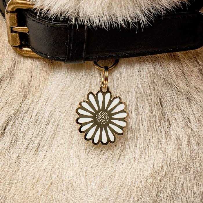 Daisy ID Tag X636481