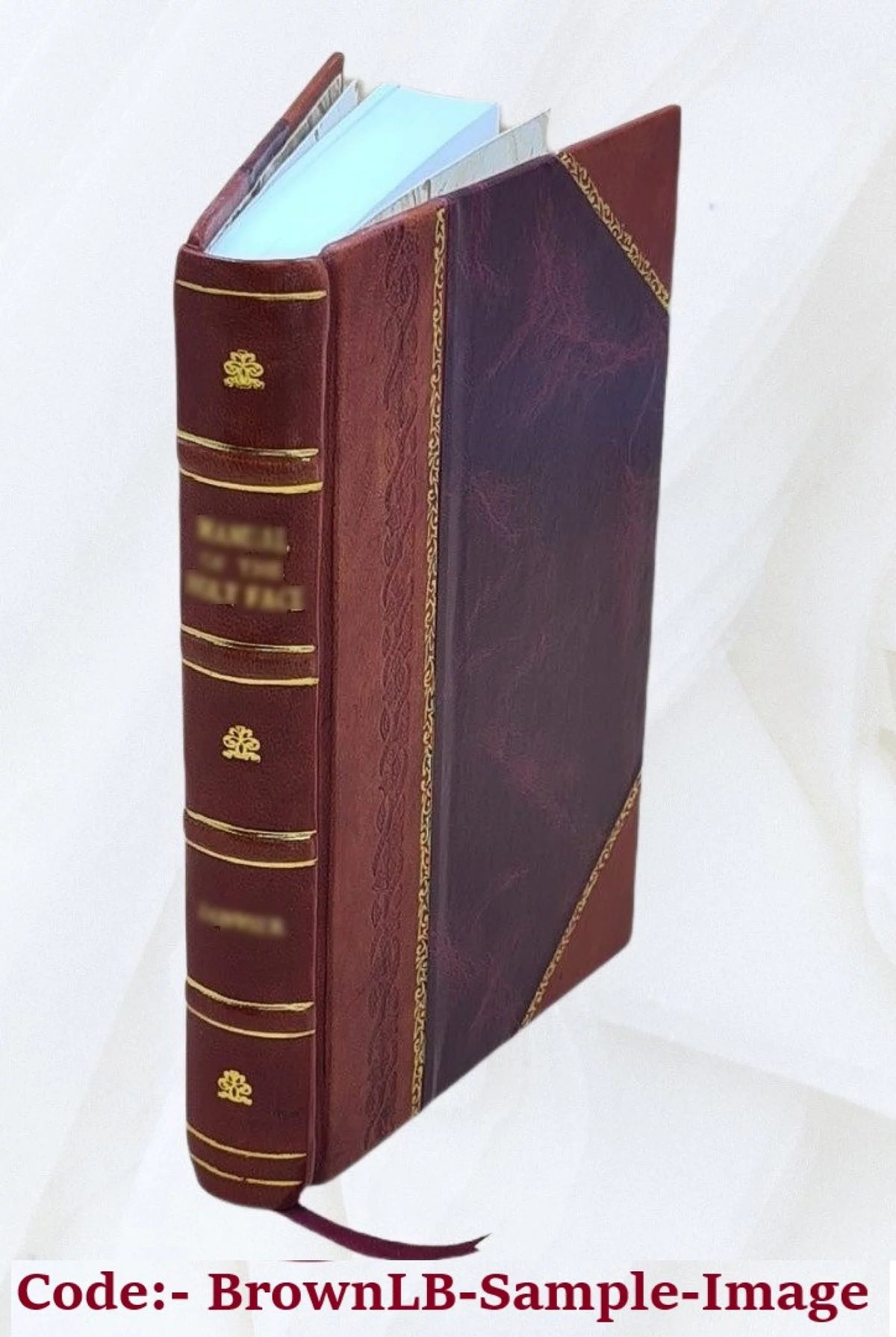 History of Prussian Politics 1855 Leather Bound K143
