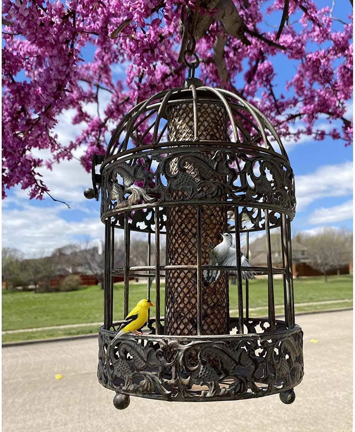 Rustic Metal Squirrel Proof Caged Bird Feeder P13105