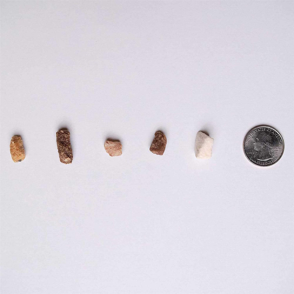 Chicken Freeze-Dried Dog Treats Q831
