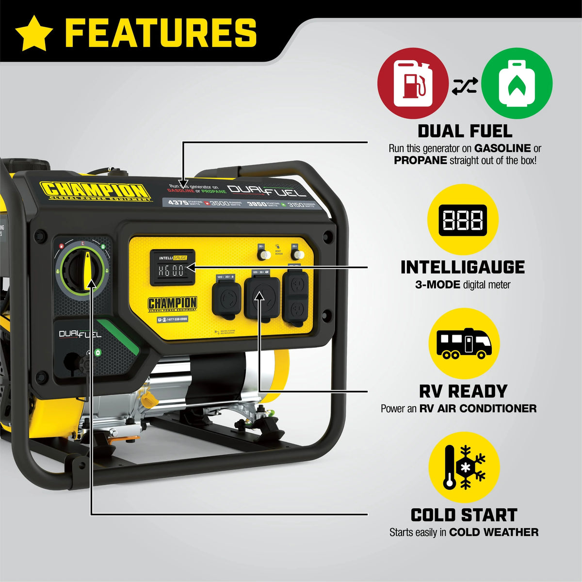 3500 Watt Dual Fuel Portable Generator X94959