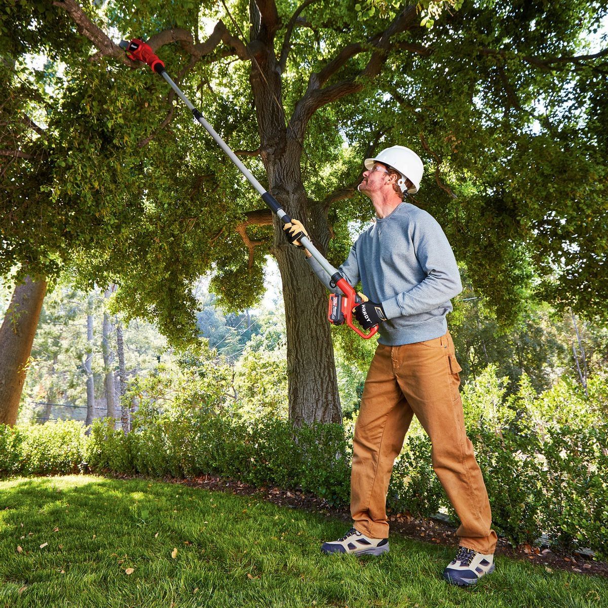 Cordless Pole Saw O545832