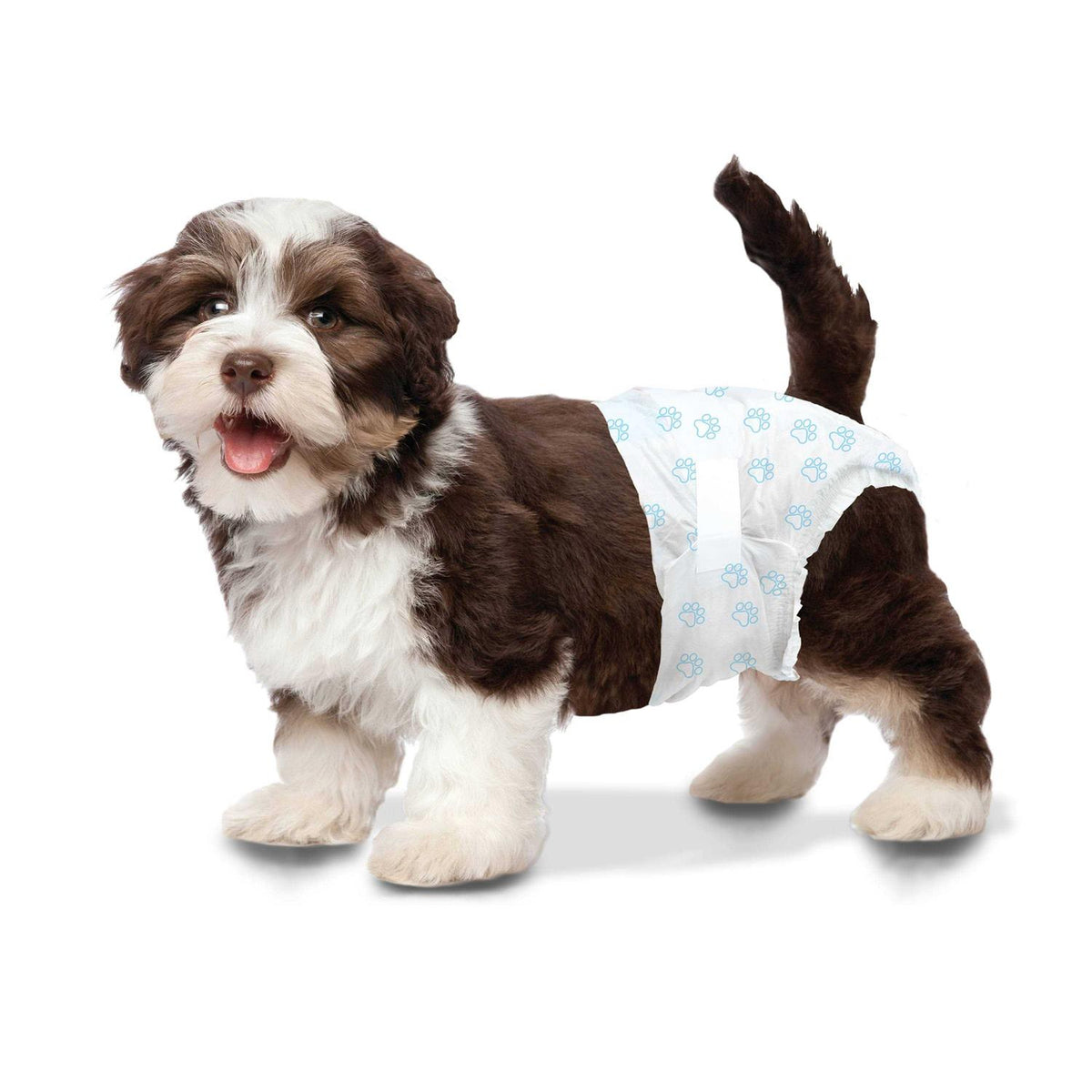 Disposable Diapers T23144