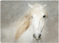 32x24 Canvas Art G19727
