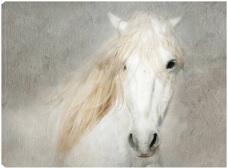 32x24 Canvas Art G19727