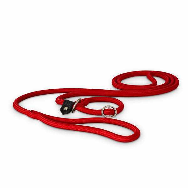 Training Rope Slip Lead for Dogs M6958