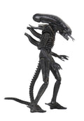 7" Action Figure C4148