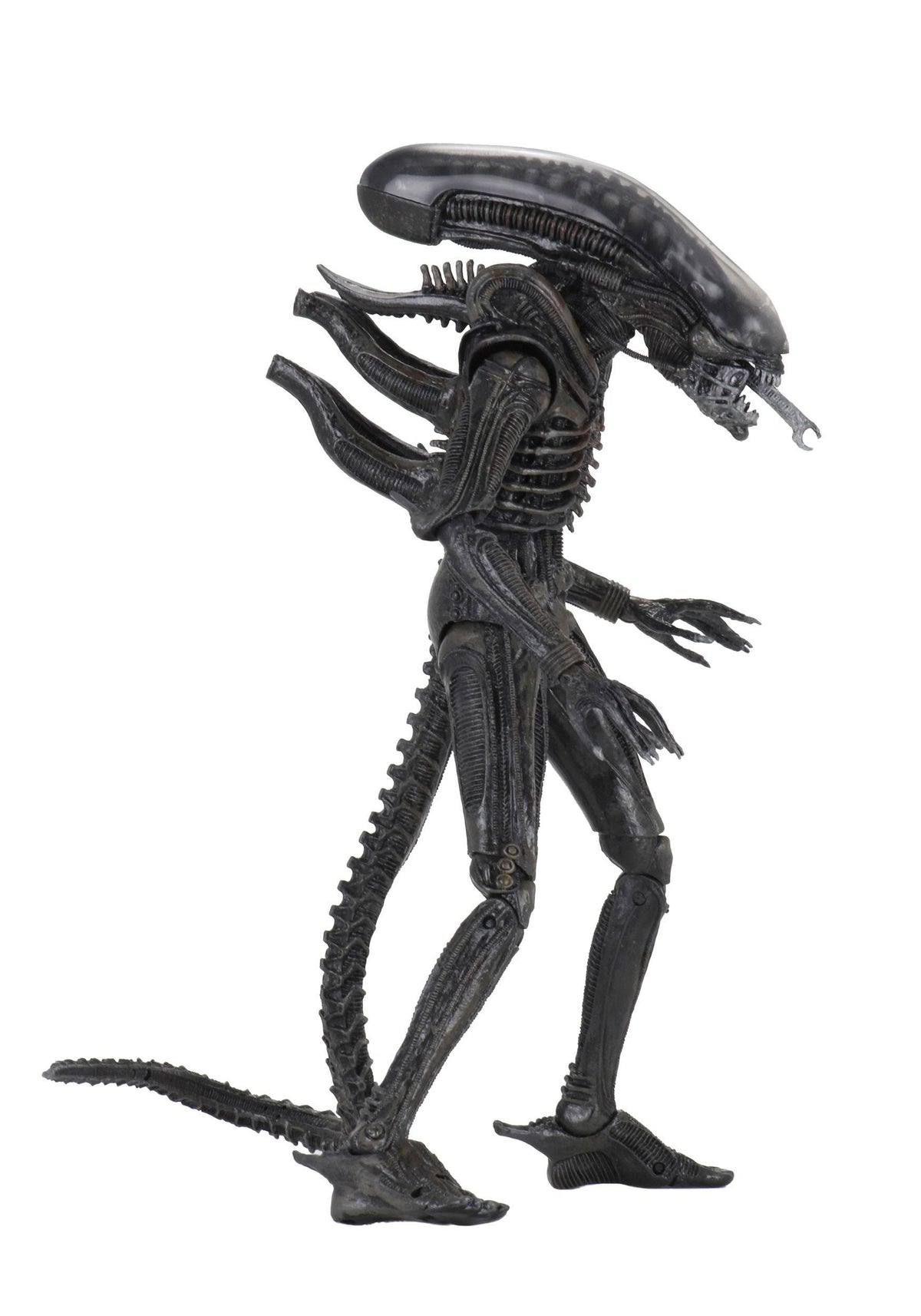 7" Action Figure C4148