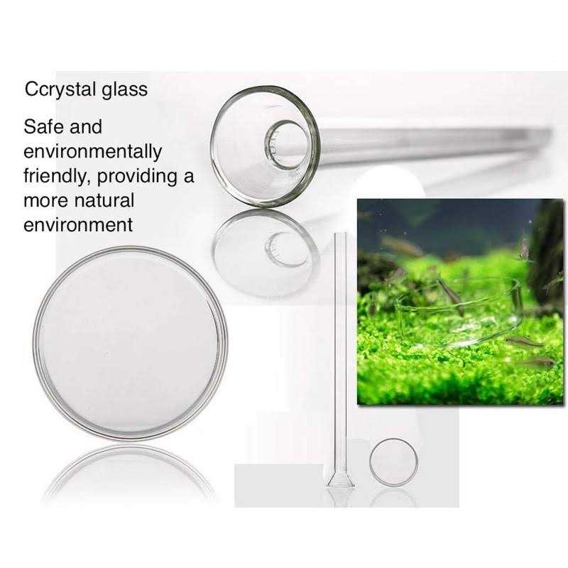 Aquarium Shrimp Feeding Tube and Dish Clear Crystal Glass E586130