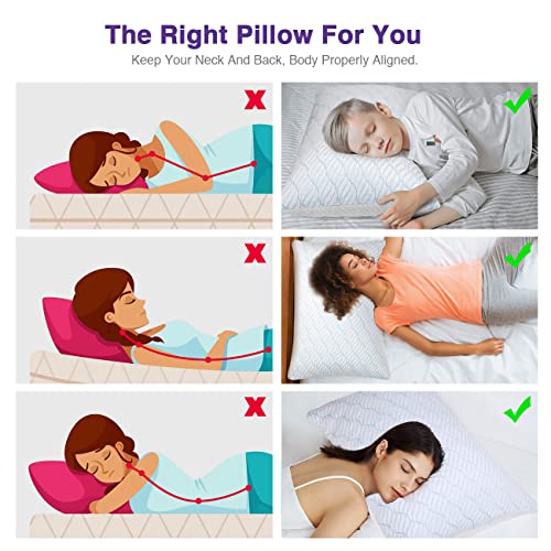 King Size Shredded Memory Foam Pillows Set of 2 G6461