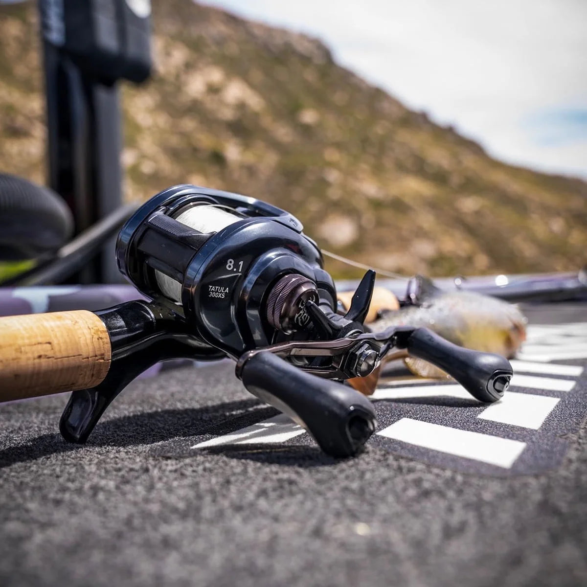 Tatula LT Spinning Reel F419