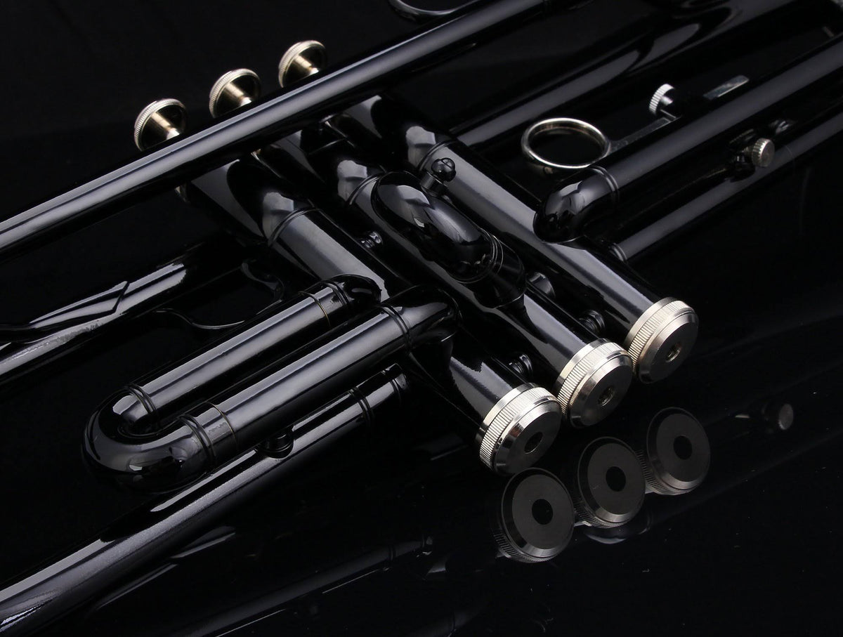Bb Trumpet with Pro Case and Care Kit B87166