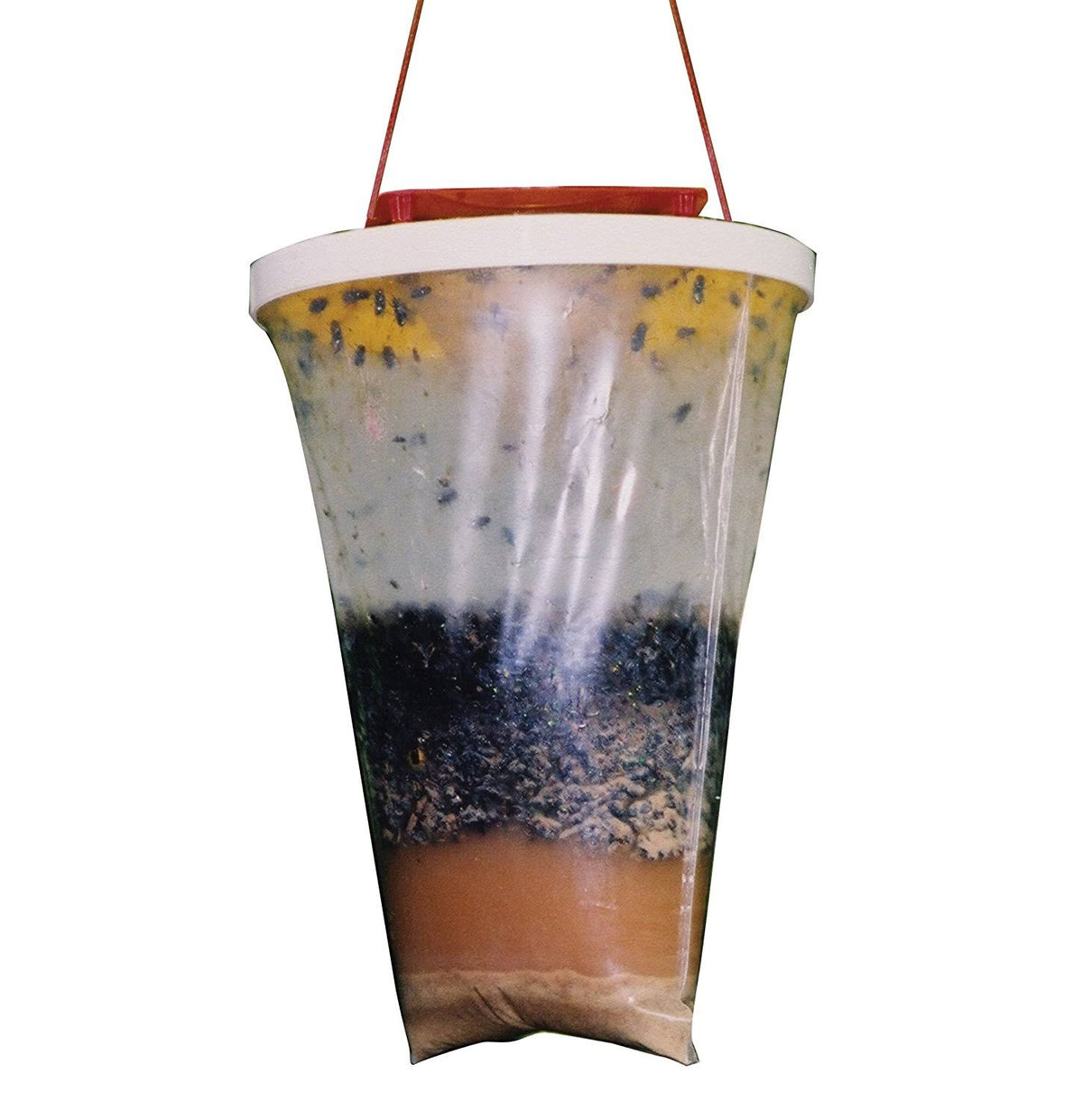 Non Toxic Fly Trap (12-Pack) W413