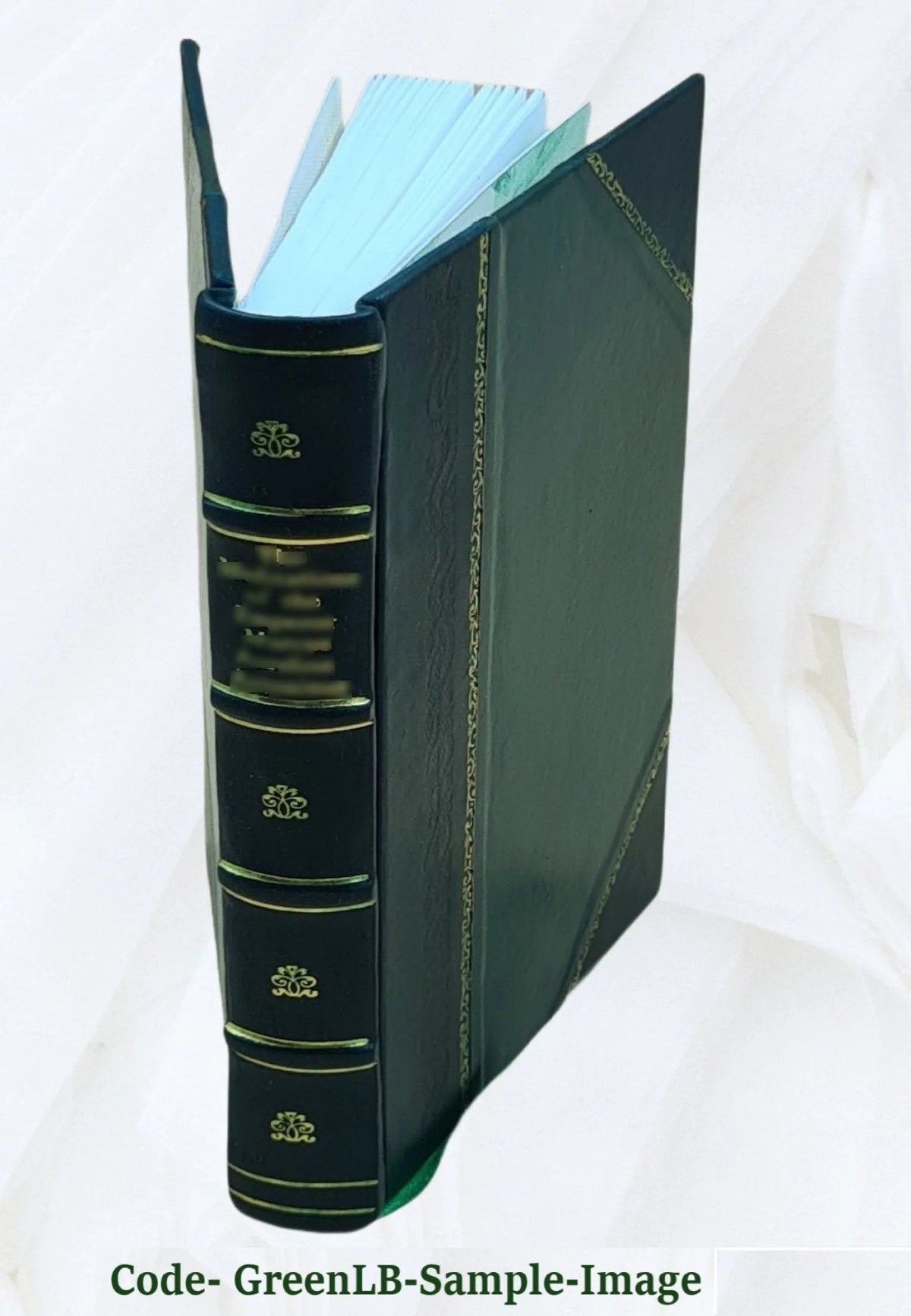History of Prussian Politics 1855 Leather Bound K143