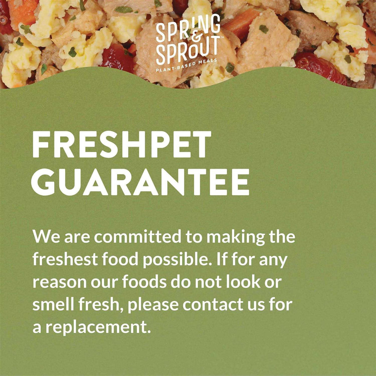 Plant-Based Protein & Cage-Free Egg Dog Food H14946