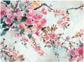 Cherry Blossoms Morning Canvas Art 32x24 S9587